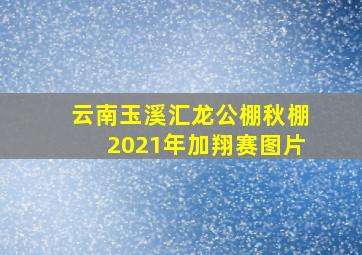 云南玉溪汇龙公棚秋棚2021年加翔赛图片