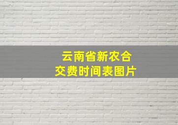 云南省新农合交费时间表图片