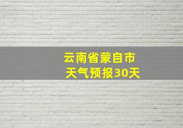 云南省蒙自市天气预报30天