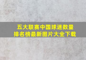 五大联赛中国球迷数量排名榜最新图片大全下载