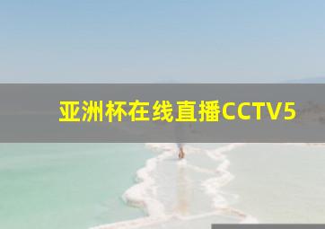 亚洲杯在线直播CCTV5