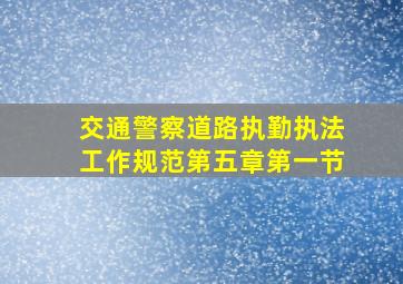 交通警察道路执勤执法工作规范第五章第一节