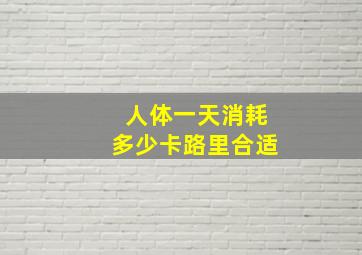 人体一天消耗多少卡路里合适