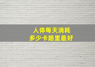 人体每天消耗多少卡路里最好