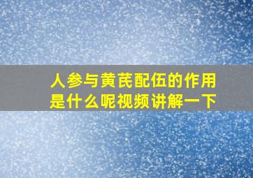 人参与黄芪配伍的作用是什么呢视频讲解一下