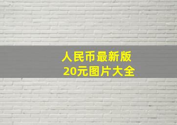 人民币最新版20元图片大全