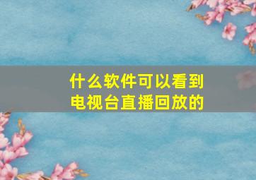 什么软件可以看到电视台直播回放的