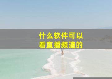 什么软件可以看直播频道的