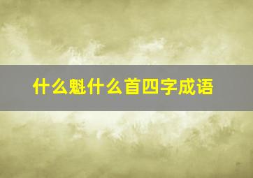 什么魁什么首四字成语