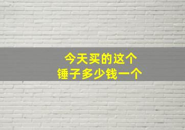 今天买的这个锤子多少钱一个