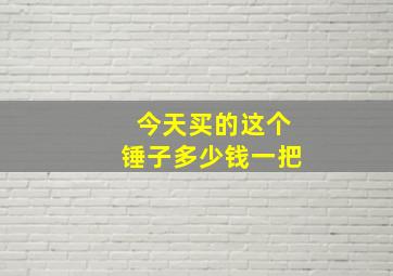 今天买的这个锤子多少钱一把