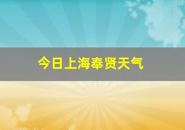 今日上海奉贤天气