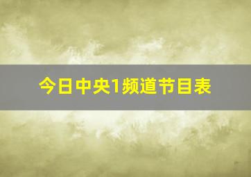 今日中央1频道节目表