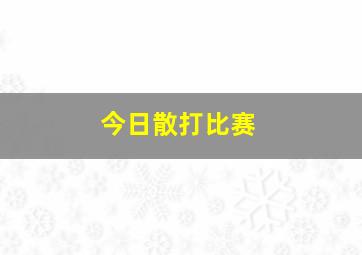 今日散打比赛