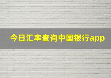 今日汇率查询中国银行app