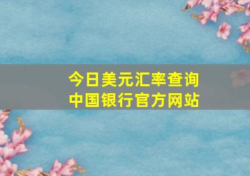 今日美元汇率查询中国银行官方网站