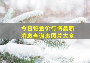 今日铂金价行情最新消息查询表图片大全