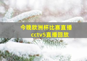 今晚欧洲杯比赛直播cctv5直播回放