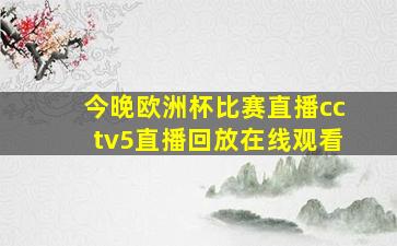 今晚欧洲杯比赛直播cctv5直播回放在线观看