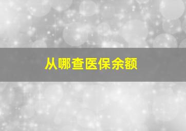 从哪查医保余额