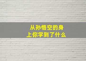 从孙悟空的身上你学到了什么