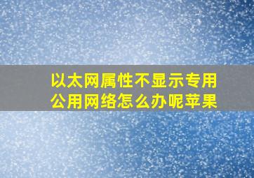 以太网属性不显示专用公用网络怎么办呢苹果