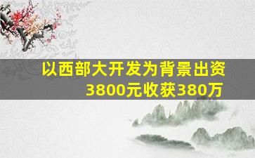 以西部大开发为背景出资3800元收获380万