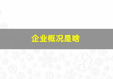 企业概况是啥