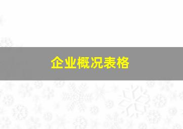 企业概况表格