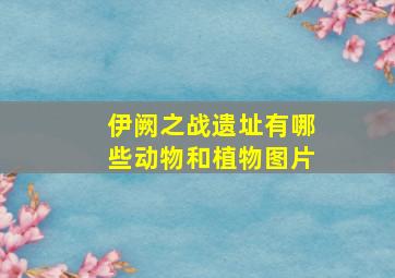 伊阙之战遗址有哪些动物和植物图片