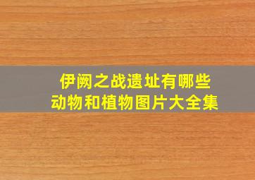 伊阙之战遗址有哪些动物和植物图片大全集