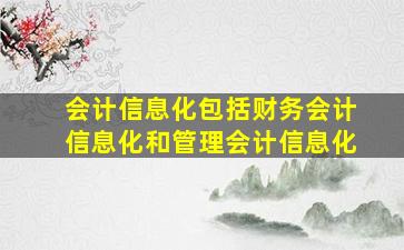 会计信息化包括财务会计信息化和管理会计信息化