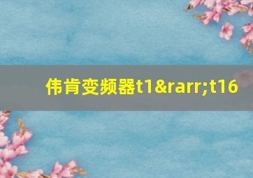 伟肯变频器t1→t16