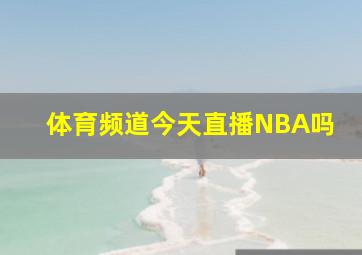 体育频道今天直播NBA吗