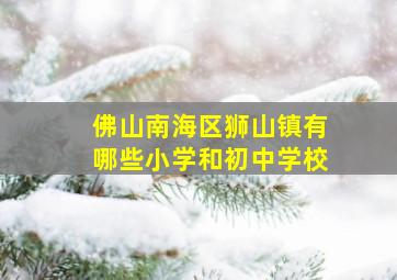 佛山南海区狮山镇有哪些小学和初中学校