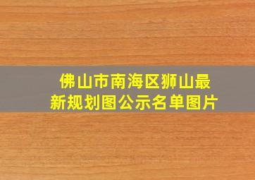 佛山市南海区狮山最新规划图公示名单图片