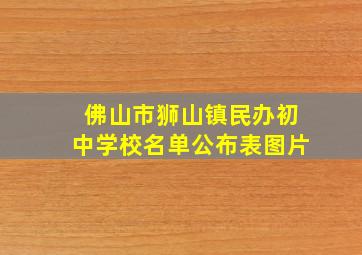 佛山市狮山镇民办初中学校名单公布表图片