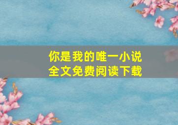 你是我的唯一小说全文免费阅读下载