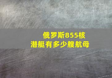 俄罗斯855核潜艇有多少艘航母