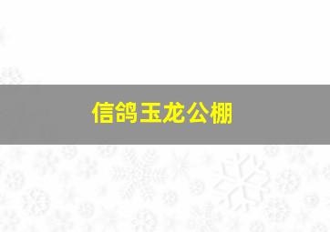 信鸽玉龙公棚