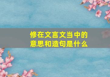 修在文言文当中的意思和造句是什么