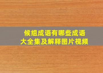 候组成语有哪些成语大全集及解释图片视频