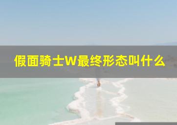 假面骑士W最终形态叫什么