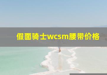 假面骑士wcsm腰带价格