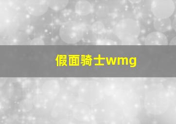 假面骑士wmg