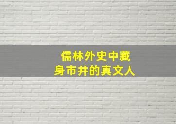 儒林外史中藏身市井的真文人