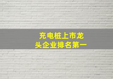 充电桩上市龙头企业排名第一