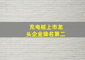 充电桩上市龙头企业排名第二