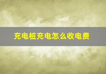 充电桩充电怎么收电费