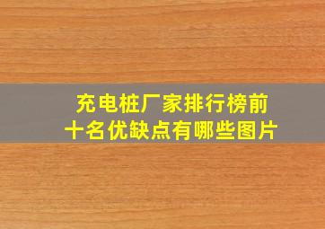 充电桩厂家排行榜前十名优缺点有哪些图片